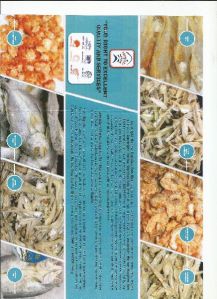 Dried Seafood Products