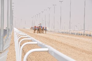 Camel Track Race Railing