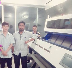 Grain Color Sorter
