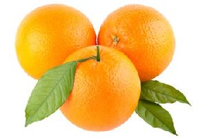 Orange (Malda Nagpur)