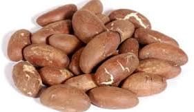 Bitter Kola Nuts