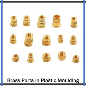 Brass Parts Plastic Moulding