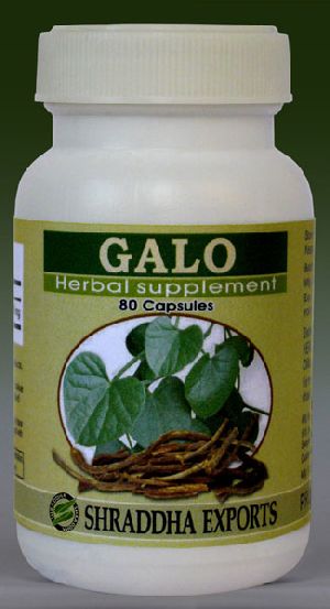 GALO CAPSULES (Tinospora cordifolia stems powder capsules)