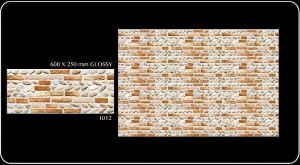 Top Qulity Ceramic Wall Tiles 1012