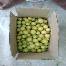 amla