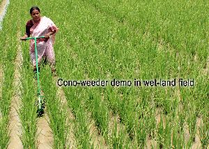 rice weeder