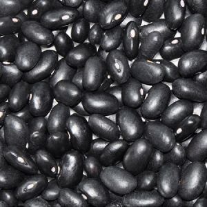 black purple speckled kidney beans