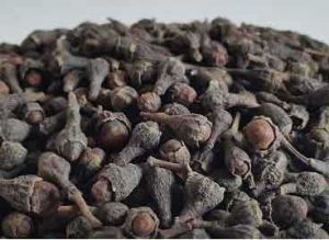 Ayurvedic & Herbal Powders