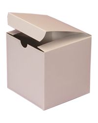 Top and Bottom Type Box