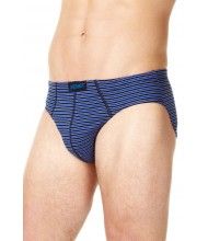 Silver Classic Brief, Underwear