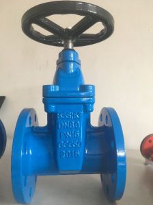 Resilient Seated Gate Valve