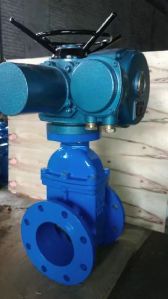 Soft Seat Gate Valve