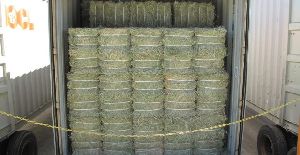 Alfalfa hay-Double Compressed