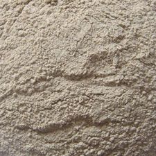 dehydrated garlic powder