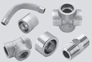 Forged Fittings