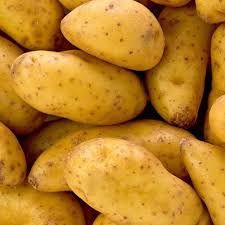 High Quality Potato