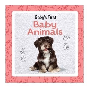 Baby First Early Learning Book