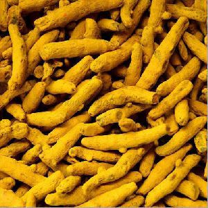 double polished turmeric finger