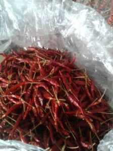 Dried Red Chili,  Shelf Life : 6-12 Months