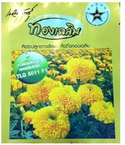 Marigold Seeds