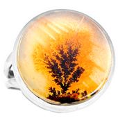 Scenic Dendritic Agate 925 Silver Ring