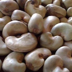 Premium Grade Raw Cashew Nuts
