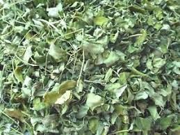 Dried Moringa Oleifera Leaves