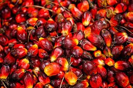 Refined Palm Oil 100% Oganic Crude Red Palm Oil