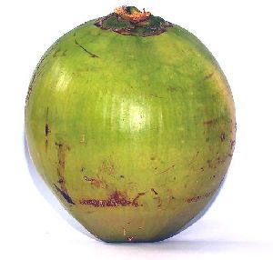 Organic Green Tender Coconut