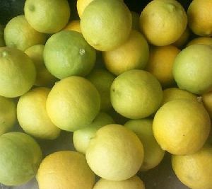 organic lemon