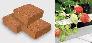 Cocopeat/Coir Blocks