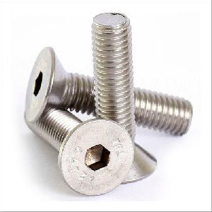 STAINLESS STEEL 310 SCREW