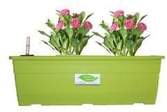 Green Rectangular Pots