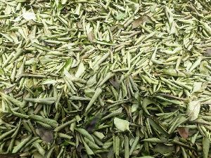 curry leaves