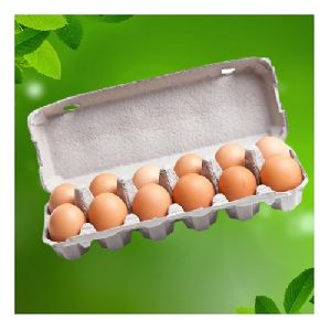 12 Egg Carton