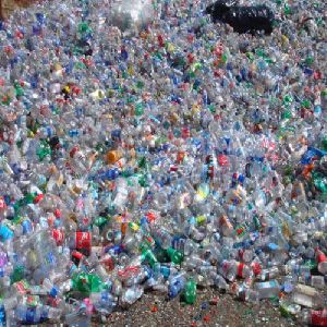 Plastic Pet Bottle Scrap