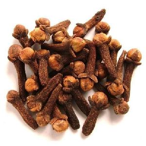 Brown Cloves