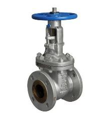 gate valve