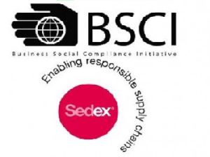 Business Social Compliance Initiative Services BSCI in Noida