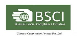 Business Social Compliance Initiative Services , BSCI in Lucknow.