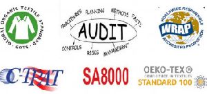 Social Compliance Audit  & Consultancy Services in Tronica City .