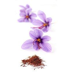 Saffron Type Perfumes