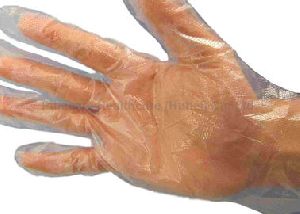 Disposable PE Hand Gloves