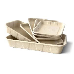 Molded Packaging Trays
