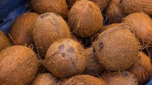Brown Coconut