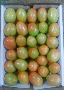 Green Fresh Tomato