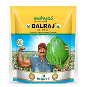 Balraj (VICH 313 BG II) Hybrid Cotton Seeds