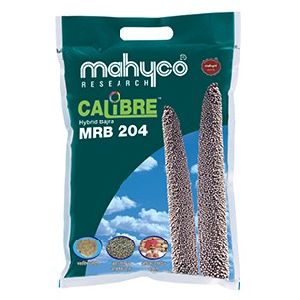 Calibre (MRB-204) Hybrid Bajra Seeds