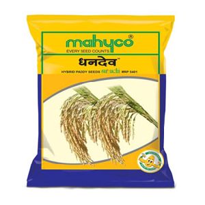 Dhandev (Suruchi MRP-5401) Hybrid Paddy Seeds