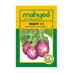 MAHY 11 (MEBH 11) Hybrid Brinjal Seeds